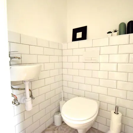 Standard By Hi5 - Fejer Gyorgy St *